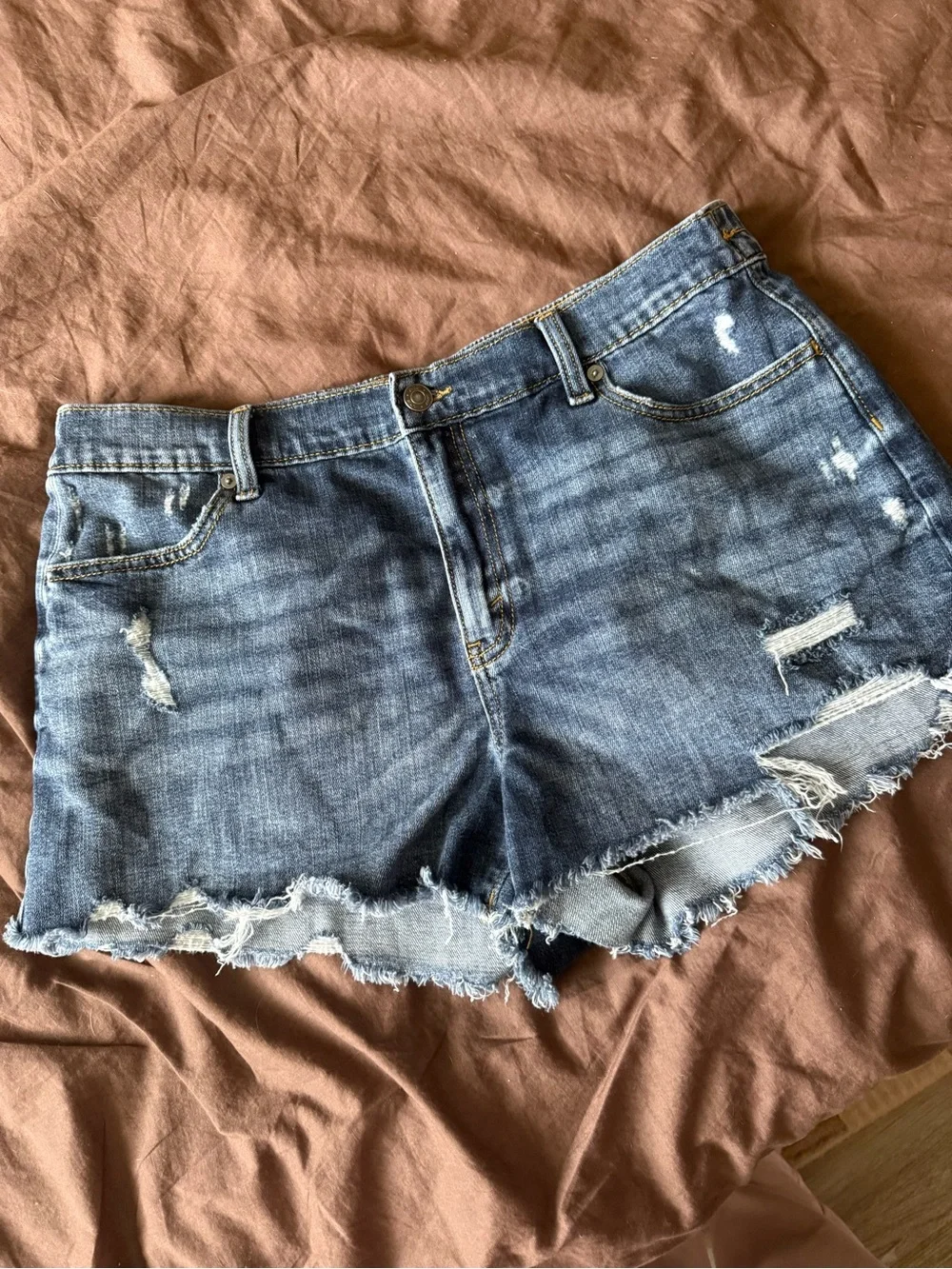 Aerie Denim Shorts
